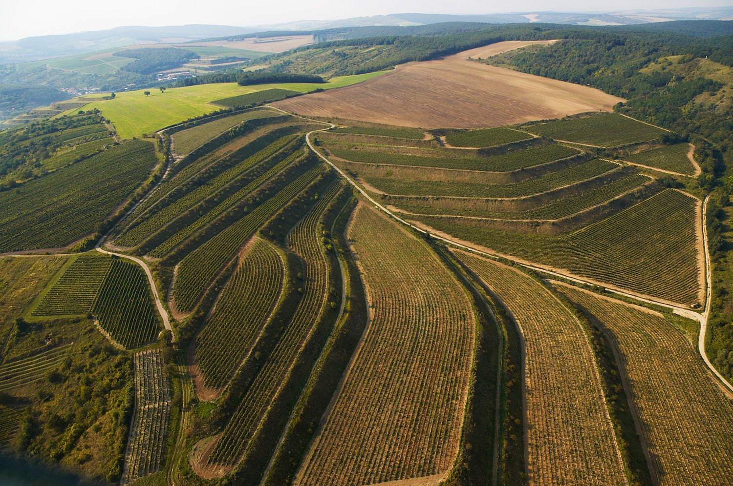 Terasy, Čtvrtě a Kraví hora